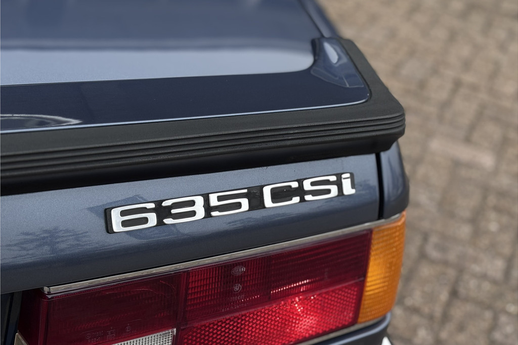 49926824-13.jpg