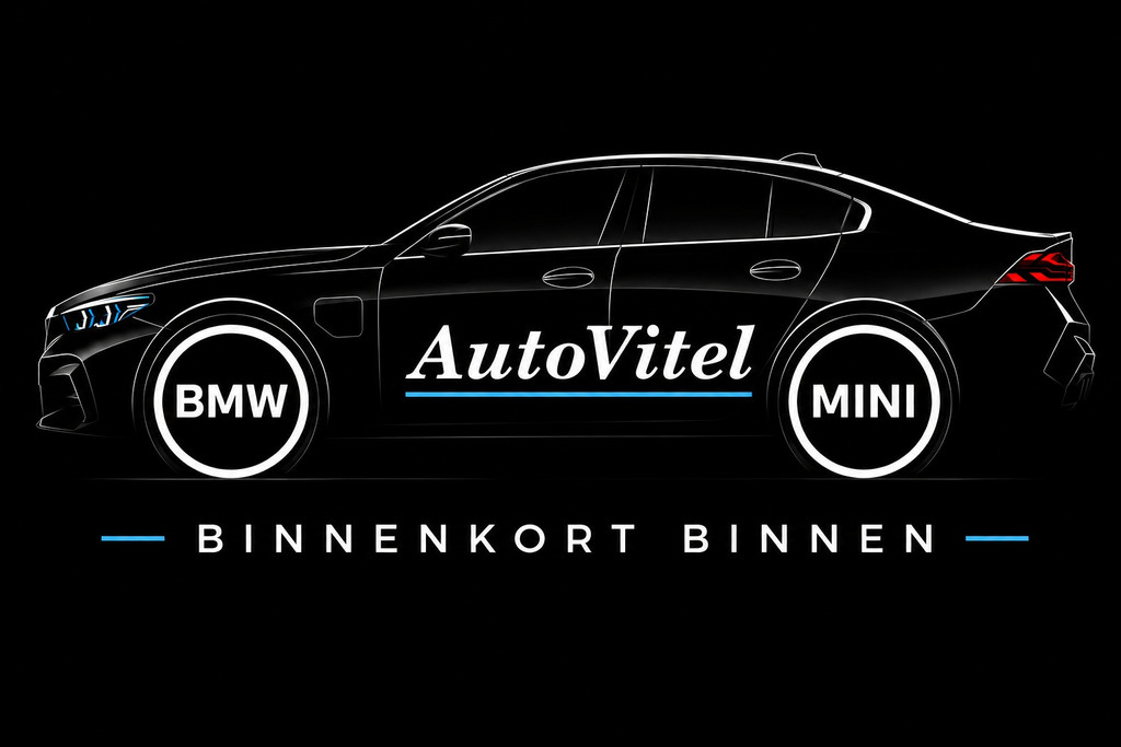 55055604